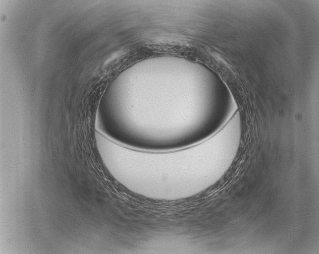X0000060800965200511101006
