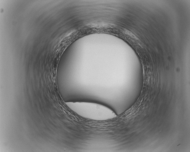 X0000060800966200511101006