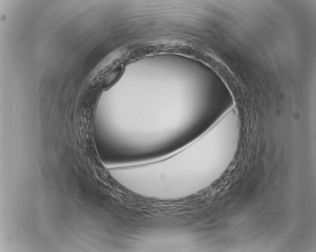X0000060800967200511101006