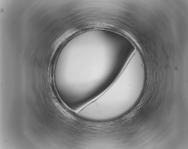 X0000060800987200511101005