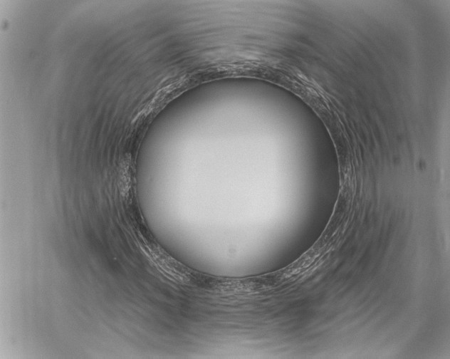 X0000060801012200511101004