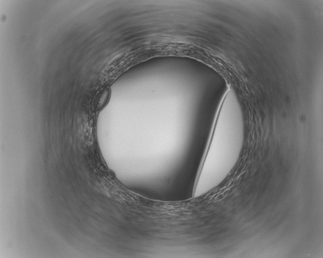 X0000060801013200511101004