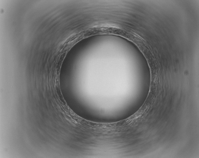 X0000060801014200511101004