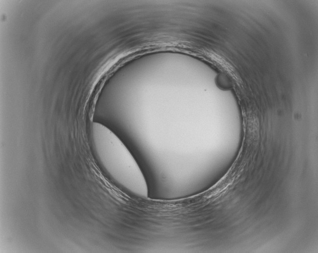 X0000060801023200511101004