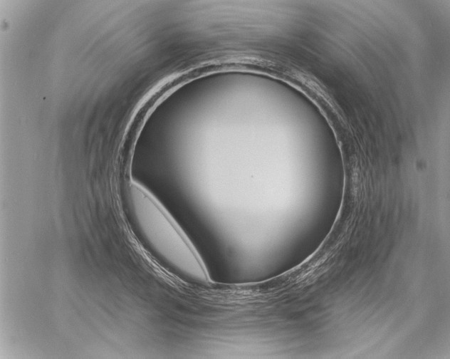 X0000060801024200511101004