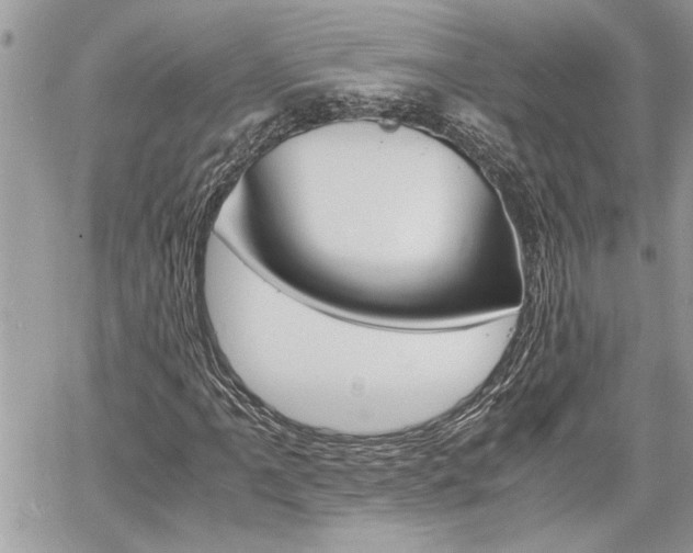 X0000060801061200511101004