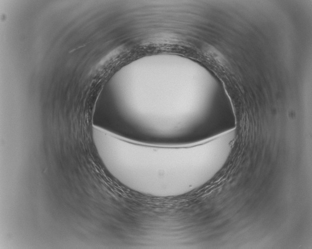 X0000060801062200511101004