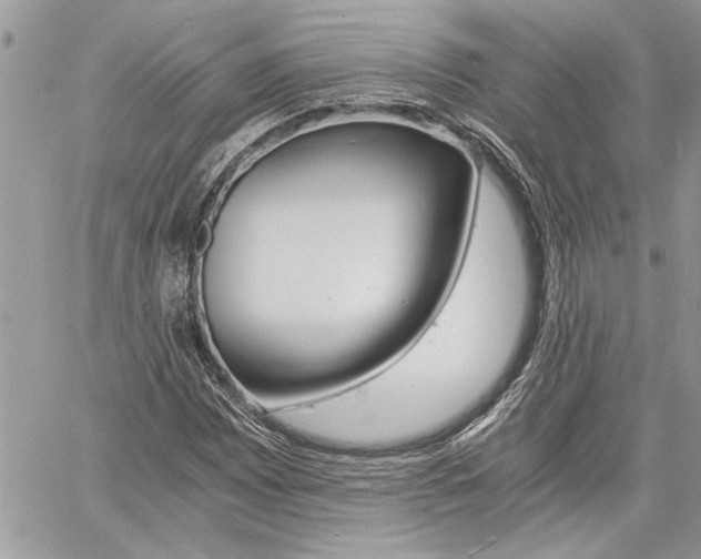 X0000060801065200511101004