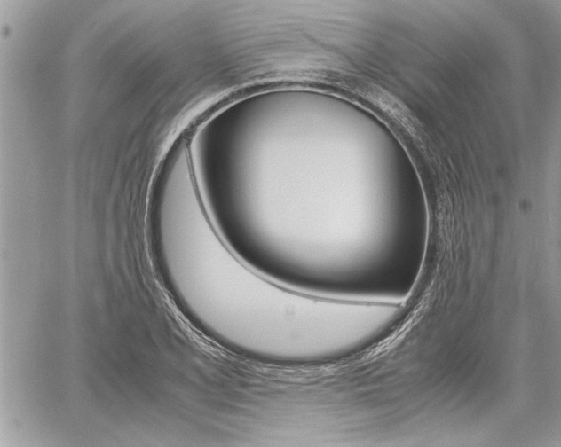 X0000060801077200511101004