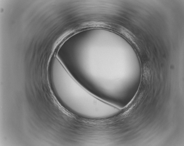 X0000060801082200511101004