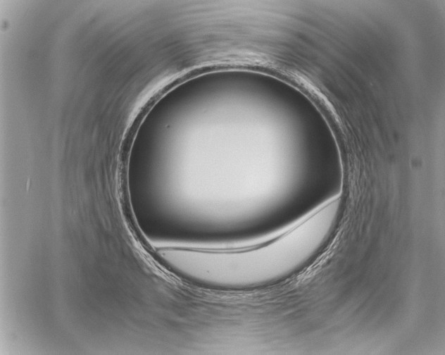X0000060801085200511101004
