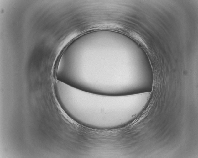 X0000060801087200511101004