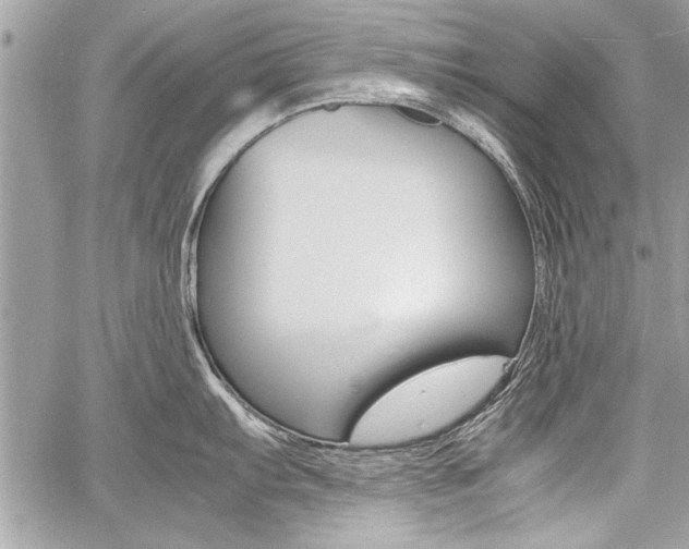 X0000060801103200511101003