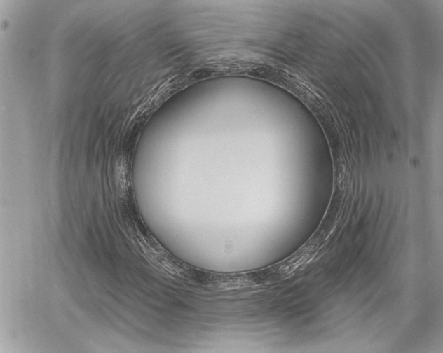 X0000060801108200511101003
