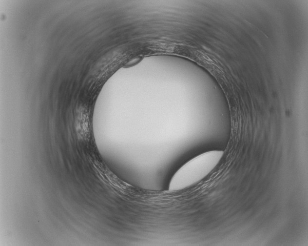 X0000060801154200511101003