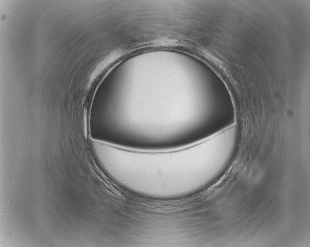 X0000060801171200511101002