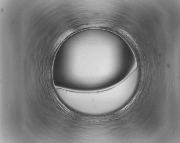 X0000060801177200511101002