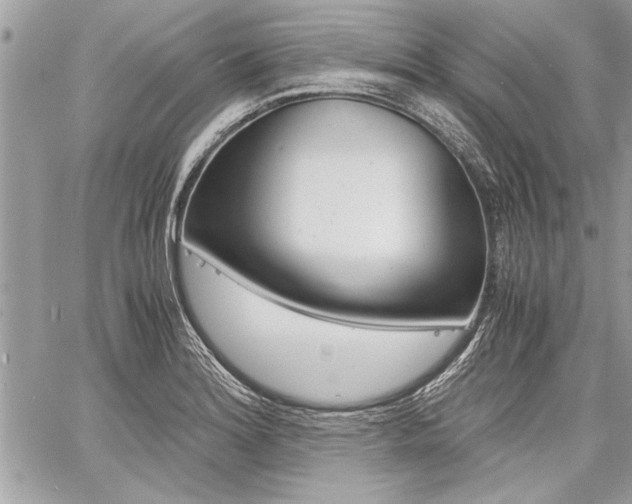 X0000060801180200511101002