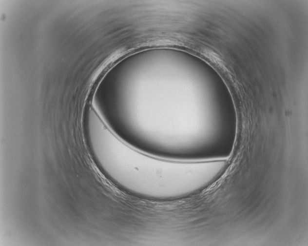 X0000060801181200511101002