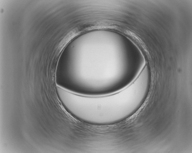X0000060801185200511101002