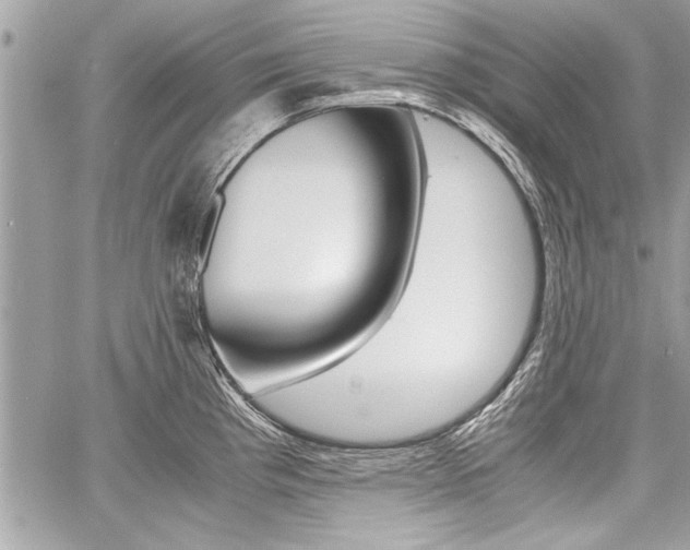 X0000060801193200511101002