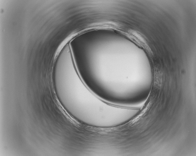 X0000060801196200511101002