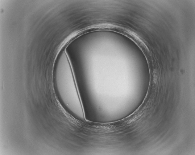 X0000060801229200511101001