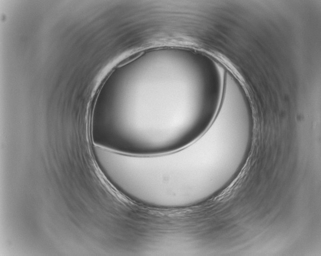 X0000060801246200511101002