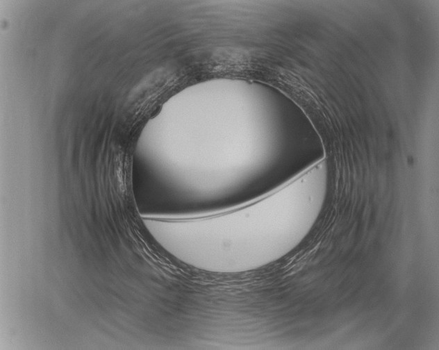 X0000060801250200511101001