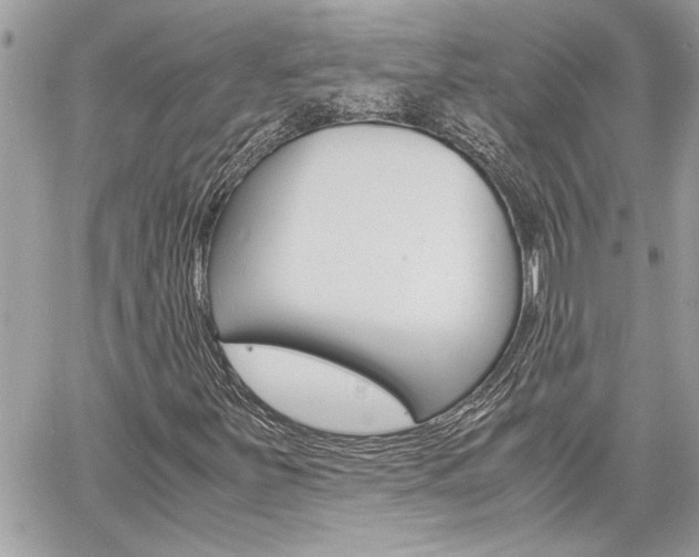 X0000060801251200511101001