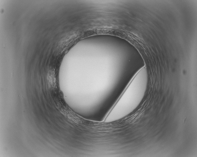 X0000060801252200511101001