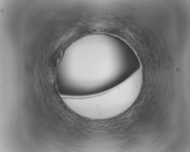 X0000060801253200511101001