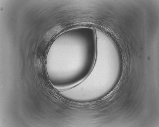 X0000060801257200511101001