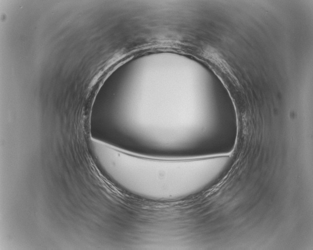 X0000060801260200511101001
