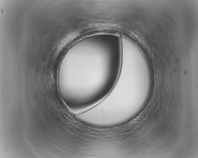 X0000060801261200511101001