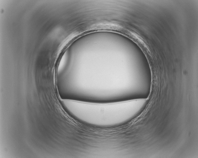 X0000060801275200511101000