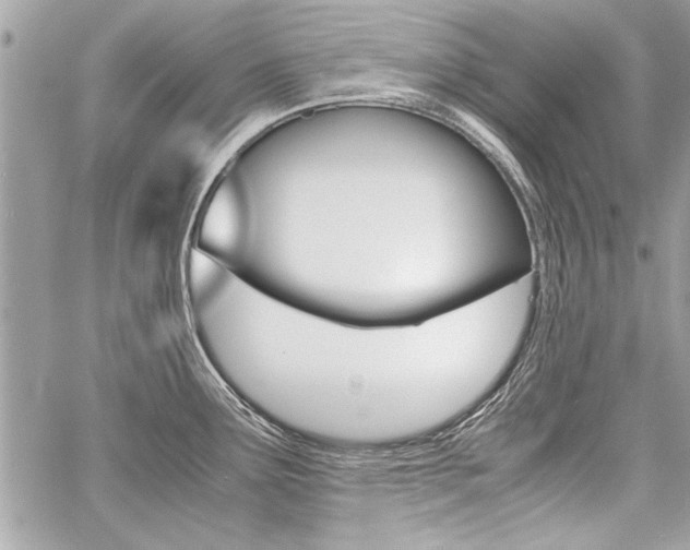 X0000060801291200511101000