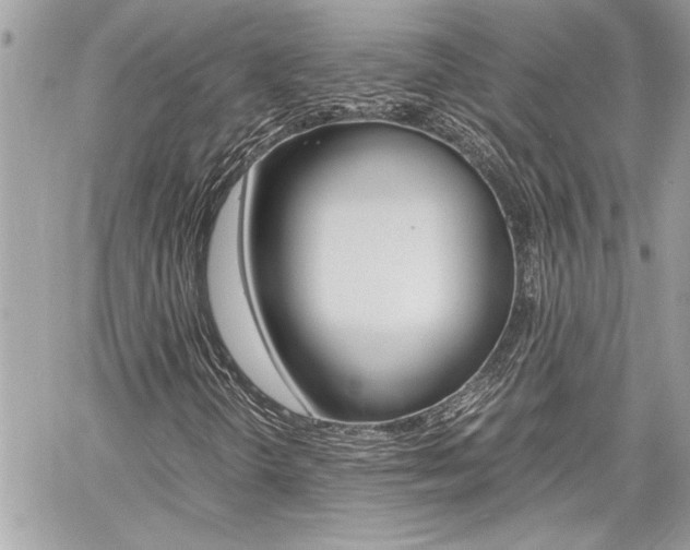 X0000060801298200511100959