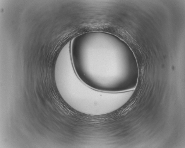 X0000060801300200511100959