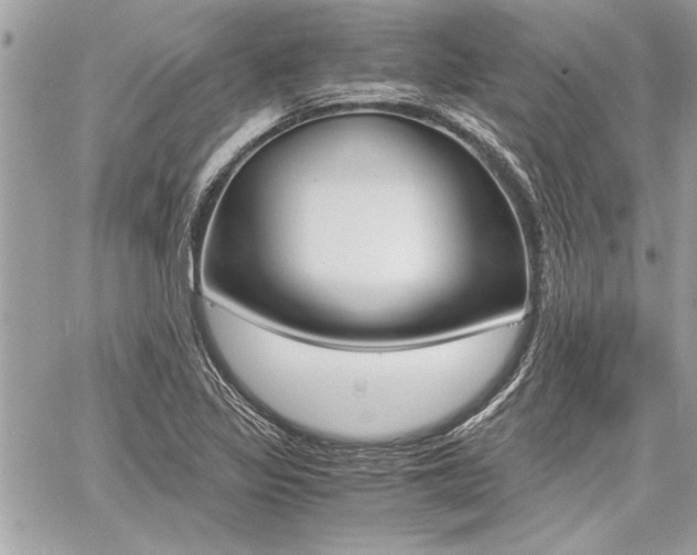 X0000060801317200511101000