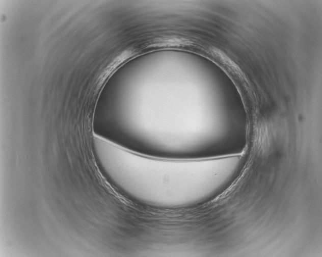 X0000060801329200511101000