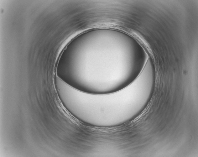 X0000060801340200511101000