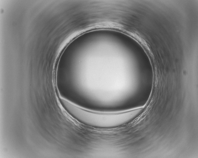 X0000060801342200511101000