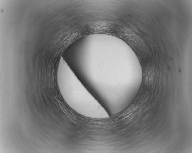 X0000060801346200511100959
