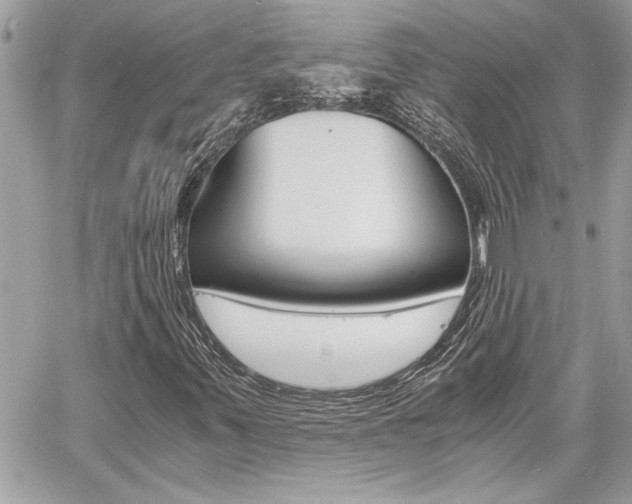 X0000060801347200511100959