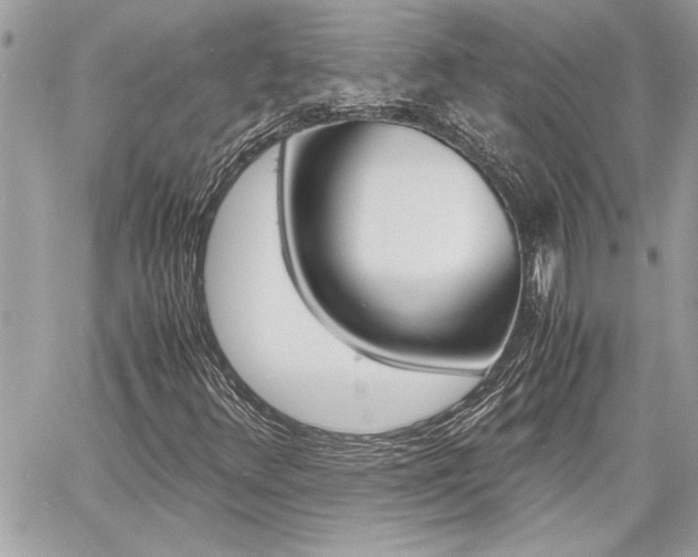 X0000060801348200511100959