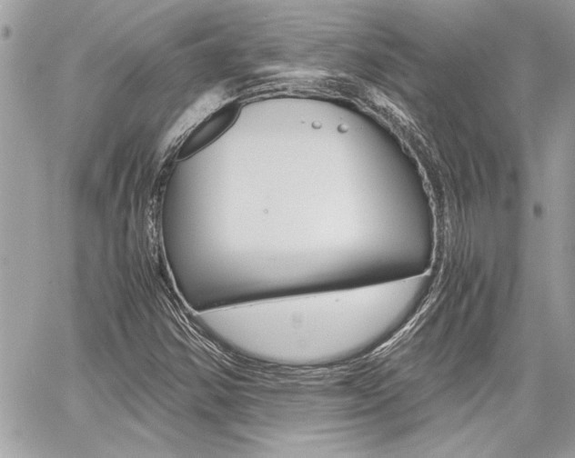 X0000060801354200511100959