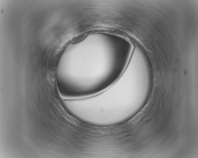 X0000060801355200511100959