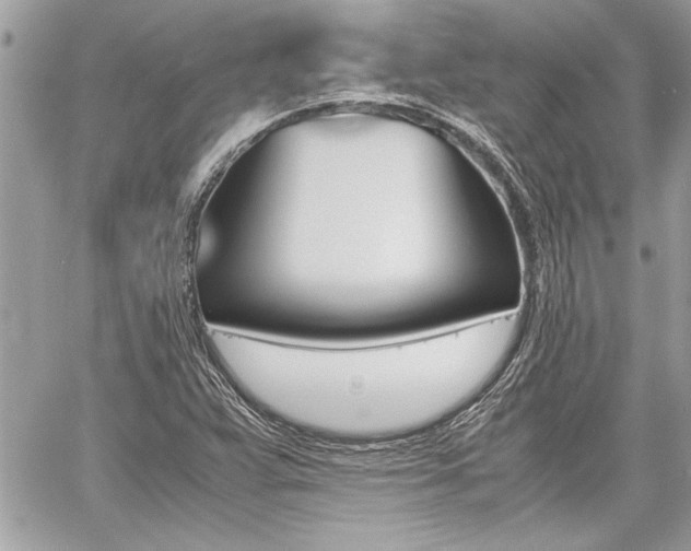 X0000060801359200511100959