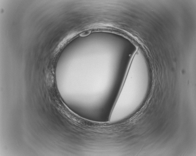 X0000060801363200511100959